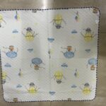 New Born Swaddle Premium Blanket