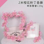 Wall Decorative Strings (2 Meter)