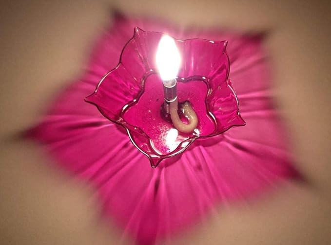 Plastic Colorful Reflection Diya (12 Pcs) (3)